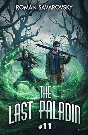 Book 11 by Roman Savarovsky book cover